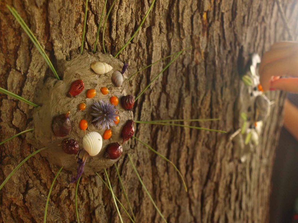 Land art- art naturel Atelier mandalas arbres- animation- plante- nature- végétal- pédagogique- élixirs floraux- drôme-Tessa- papinot