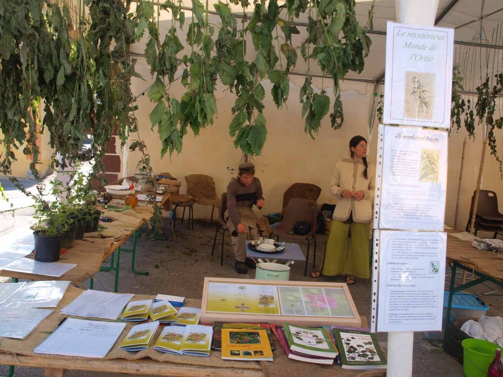 Atelier sur l'ortie animation- plante- nature- végétal- pédagogique- élixirs floraux- drôme-Tessa- papinot