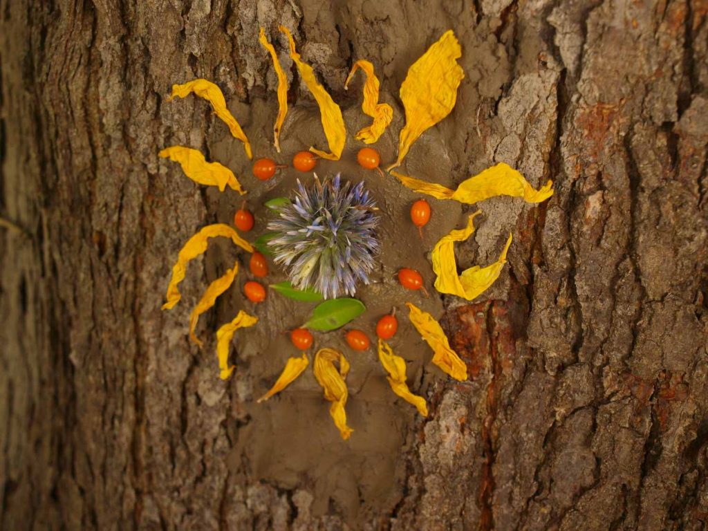 Land art- art naturel Atelier mandalas arbres- animation- plante- nature- végétal- pédagogique- élixirs floraux- drôme-Tessa- papinot