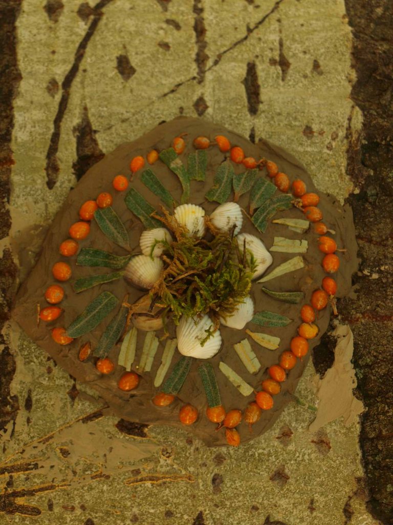 Atelier mandalas arbres- animation- plante- nature- végétal- pédagogique- élixirs floraux- drôme-Tessa- papinot
