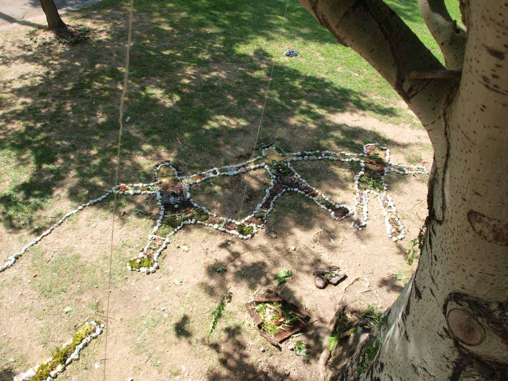 Land art- art naturelAtelier mandalas arbres- animation- plante- nature- végétal- pédagogique- élixirs floraux- drôme-Tessa- papinot