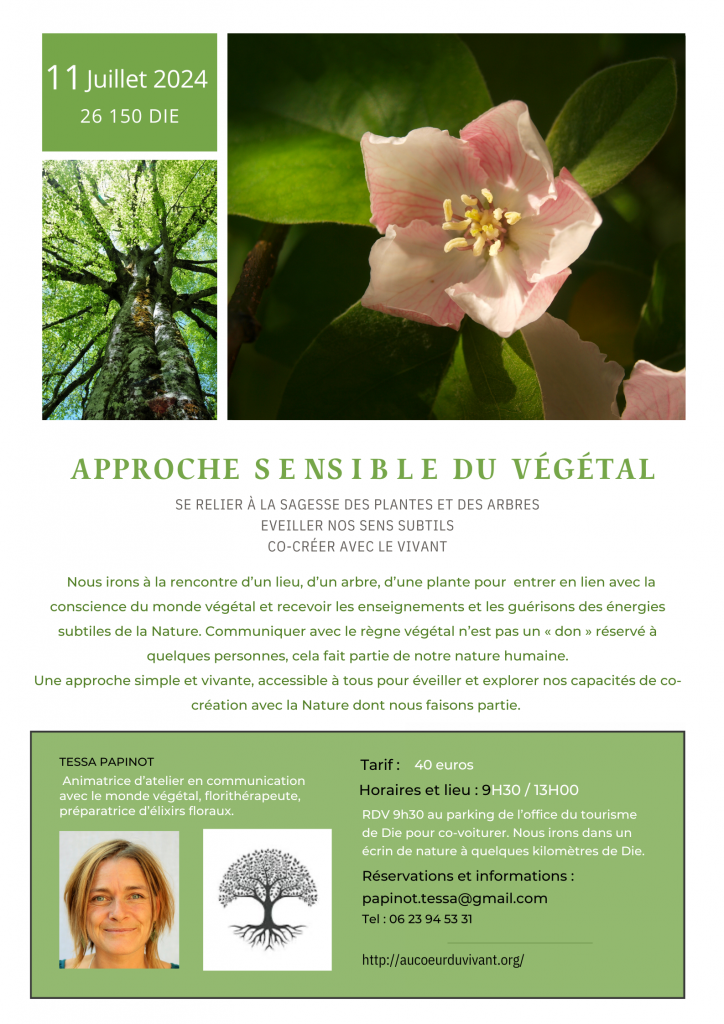 atelier- plantes-esprit de la nature-communication - nature - roses - fleurs -Drôme - végétal - co- créativité -thérapie - arbres -